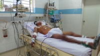 an tiet canh lon rung 50 nguoi bi ngo doc
