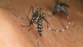 Phát hiện trường hợp nhiễm Zika thứ 7 tại Đồng Nai