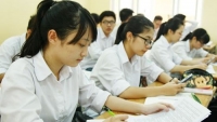 bai toan tu duy cap tieu hoc khien nguoi lon dau dau