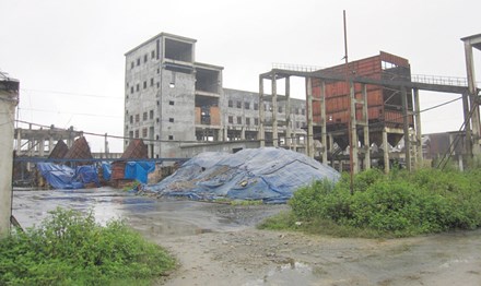 di san den cua ong vo kim cu va nghi an giay phep 20000 usd