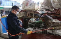 da phat hien virus cum gia cam h5n6 tai duc