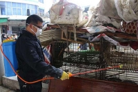 ket qua xet nghiem 2 truong hop viem phoi nang nghi nhiem cum gia cam ah5n1