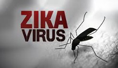 TP HCM: Ghi nhận 12 thai phụ nhiễm vi rút Zika