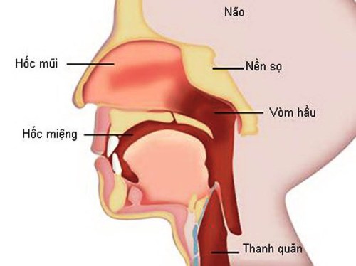 cach nhan biet som cac loai ung thu dau co