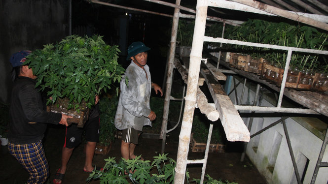 mien trung nuoc dang cao bat ngo dan hoi ha chay lu trong dem