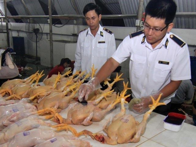 ha noi tang cuong kiem tra thanh tra ve sinh an toan thuc pham dip tet
