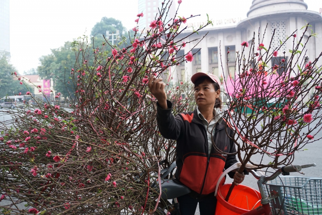 ha noi la lam ngay dau nam moi 2017