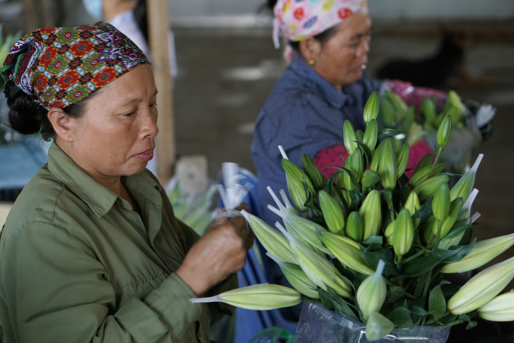 ha noi hoa ly no som nong dan lao dao