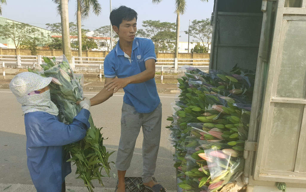 ha noi hoa ly no som nong dan lao dao
