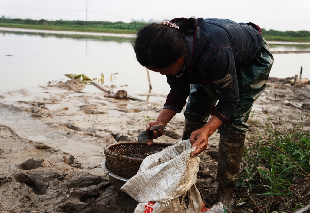 Hạnh phúc ngọt ngào trong căn nhà nhỏ của người mẹ nuôi 14 con giữa thủ đô hanh phuc ngot ngao trong can nha nho cua nguoi me nuoi 14 con giua thu do