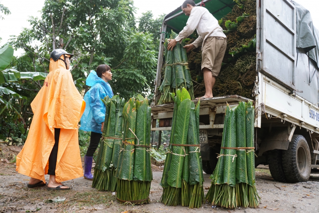 den tham ngoi lang ma moi nha deu goi ca van chiec banh chung dip tet