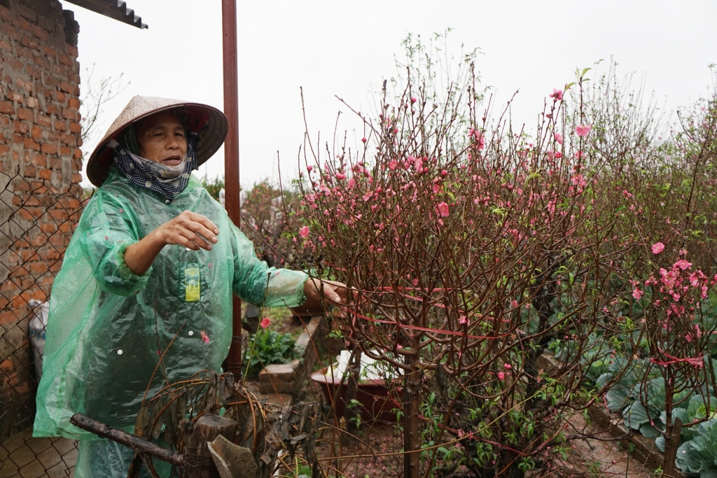 ha noi mua ret dai ngay dao lo hoa ly mung