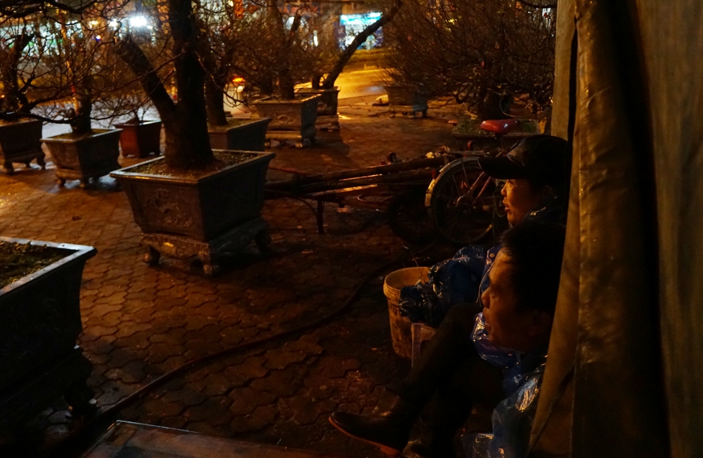 nhoc nhan nghe trong dao thue o ha noi dip tet