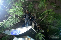 Vắt vẻo trên cây, leo nóc nhà vệ sinh đón giao thừa