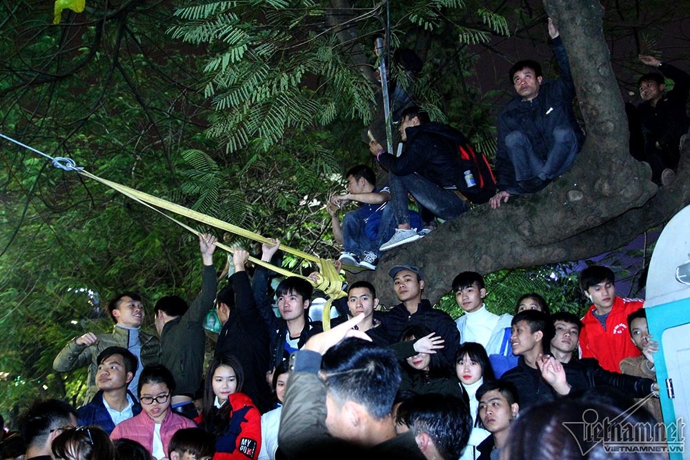 vat veo tren cay leo noc nha ve sinh don giao thua