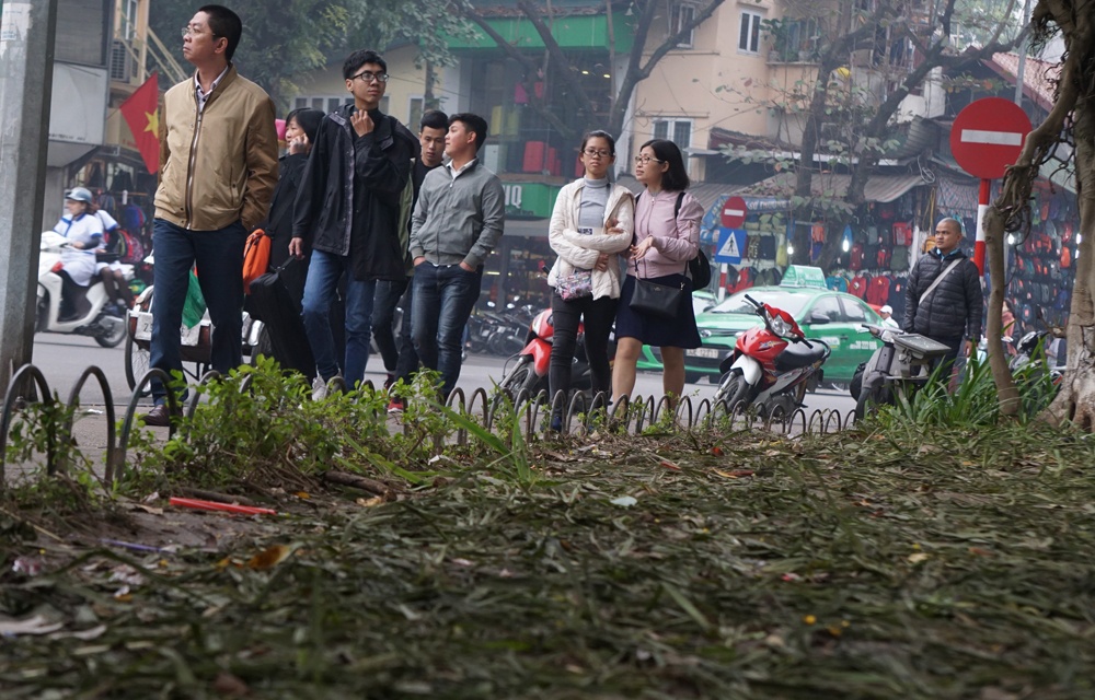canh tan nat vuon hoa ven ho hoan kiem tu giao thua tet duong lich
