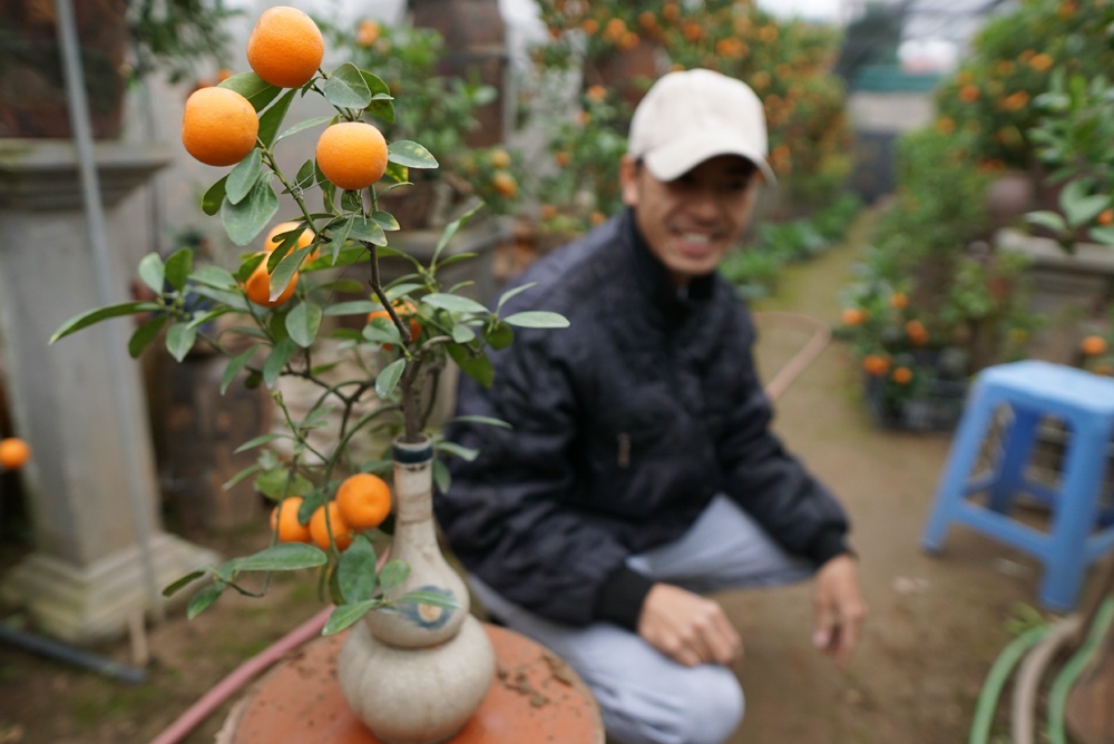 quat canh trong trong chai ruou choi tet mau tuat 2018