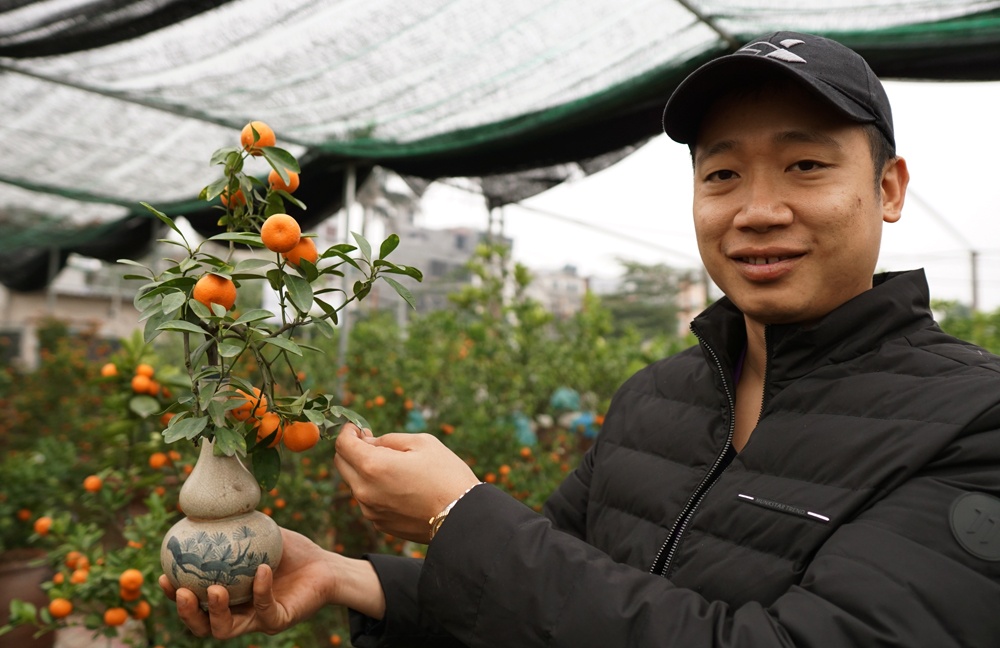 quat canh trong trong chai ruou choi tet mau tuat 2018