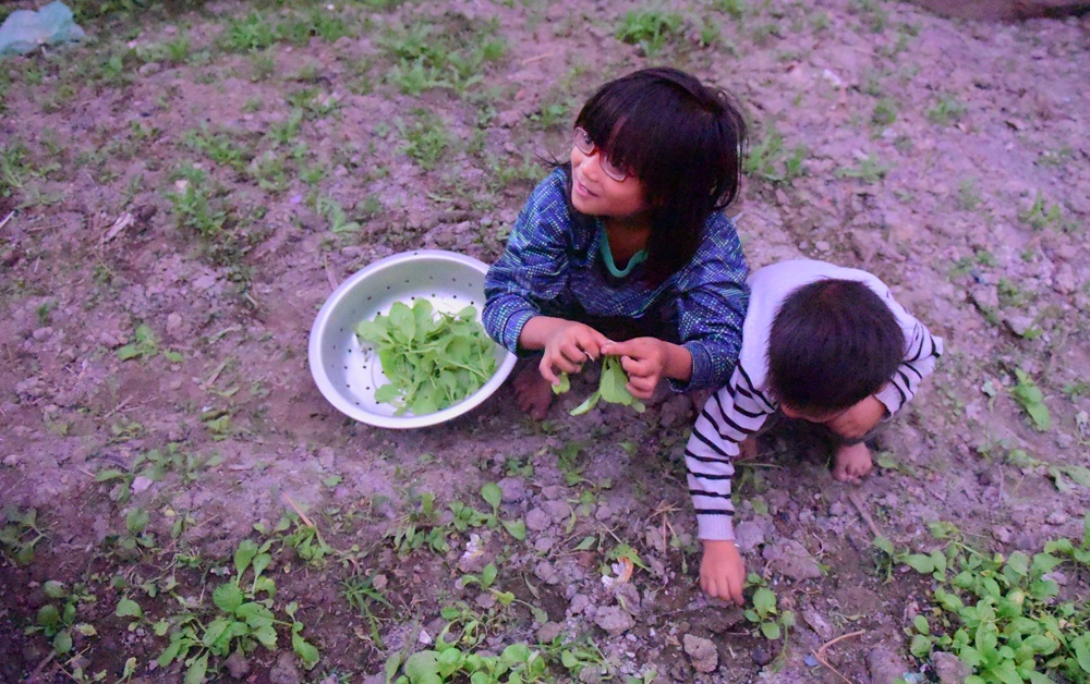vo mat khi dang mang thai con thu 9 ong bo mot minh nuoi 8 dua con duoi mai nha cu nat