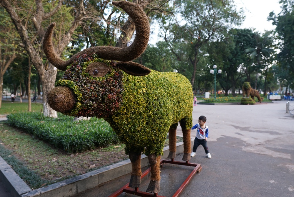 ngam 12 con giap lam bang cay hoa don tet mau tuat o ha noi