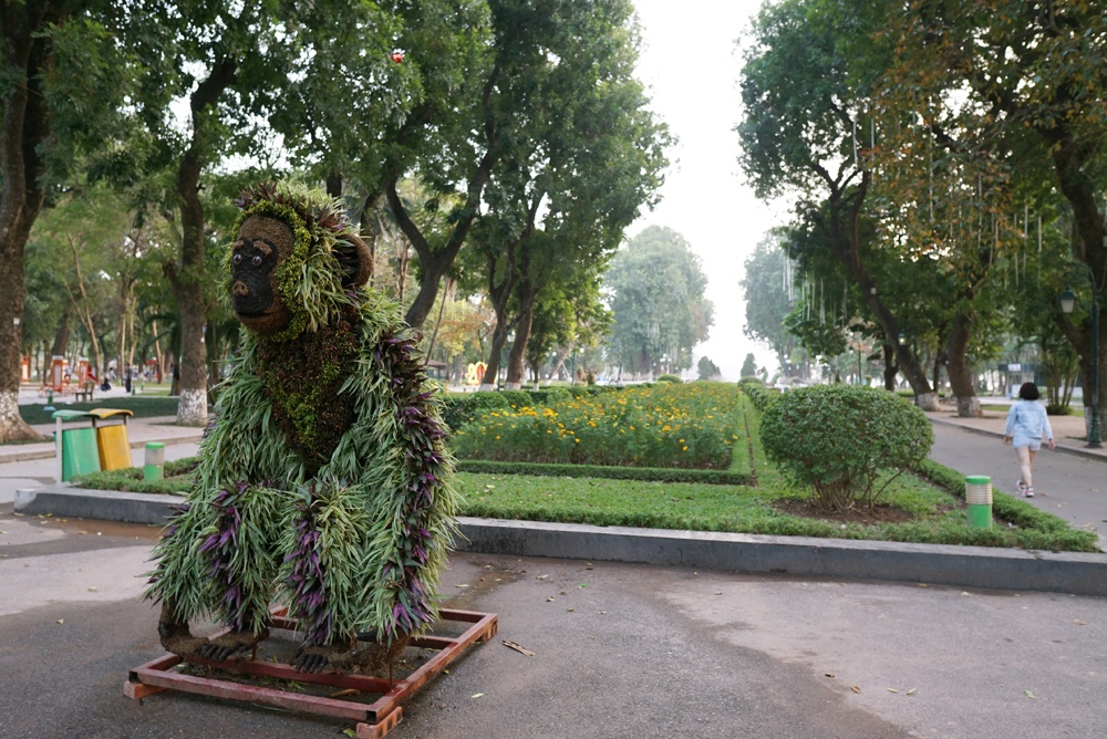 ngam 12 con giap lam bang cay hoa don tet mau tuat o ha noi