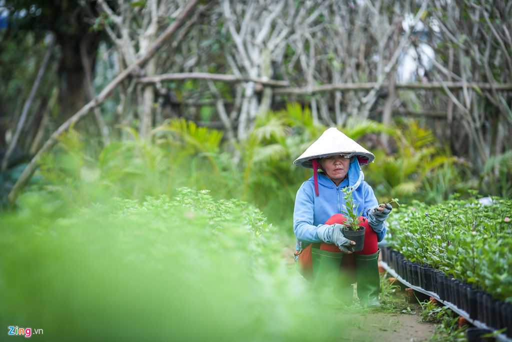 ben trong xuong thi cong duong hoa nguyen hue o sa dec