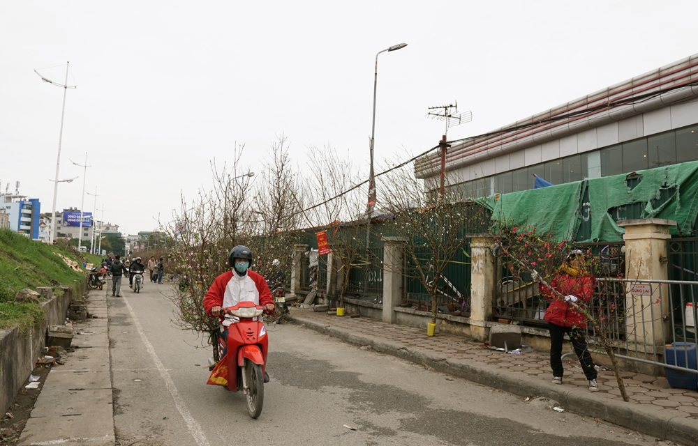 nguoi dan ha noi tap nap mua dao trung ram thang chap