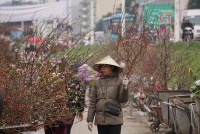 ret 10 do nguoi dan chong den giua ban ngay suoi am cho dao