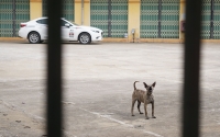 benh vien bach mai co so 2 tai ha nam bay gio ra sao