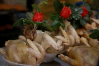 lang san sinh ca chep do tien tao quan chau troi