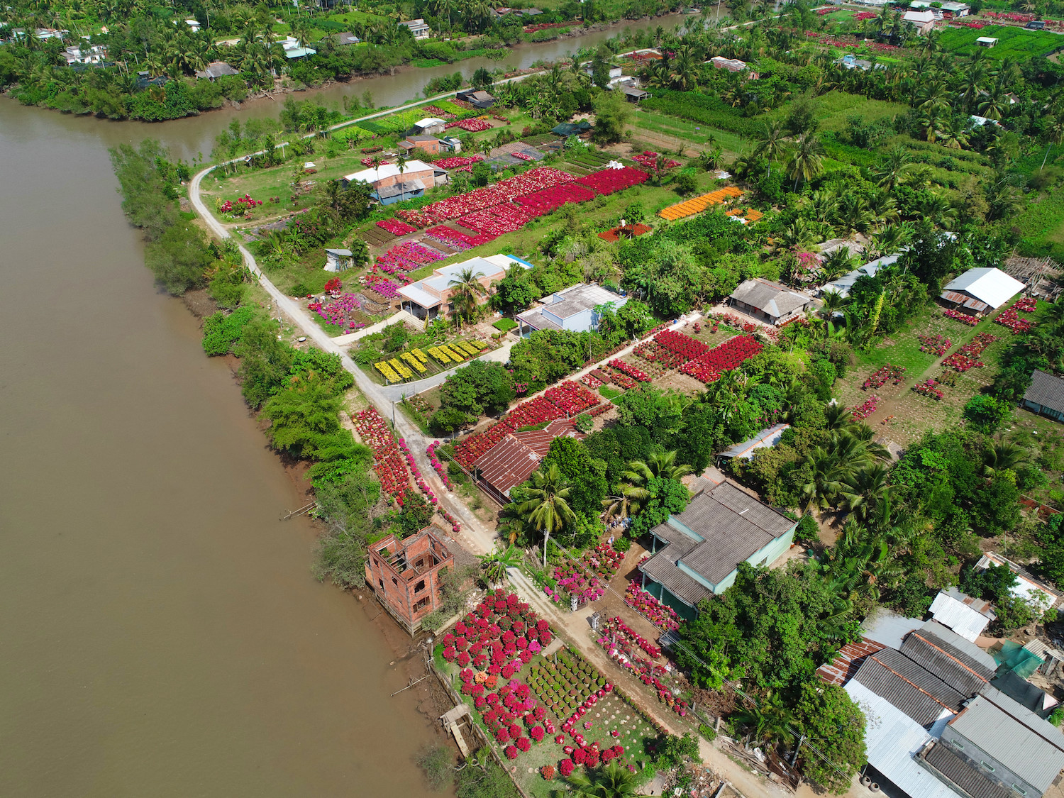 sac hoa giay phu do tuyen duong dai o ben tre