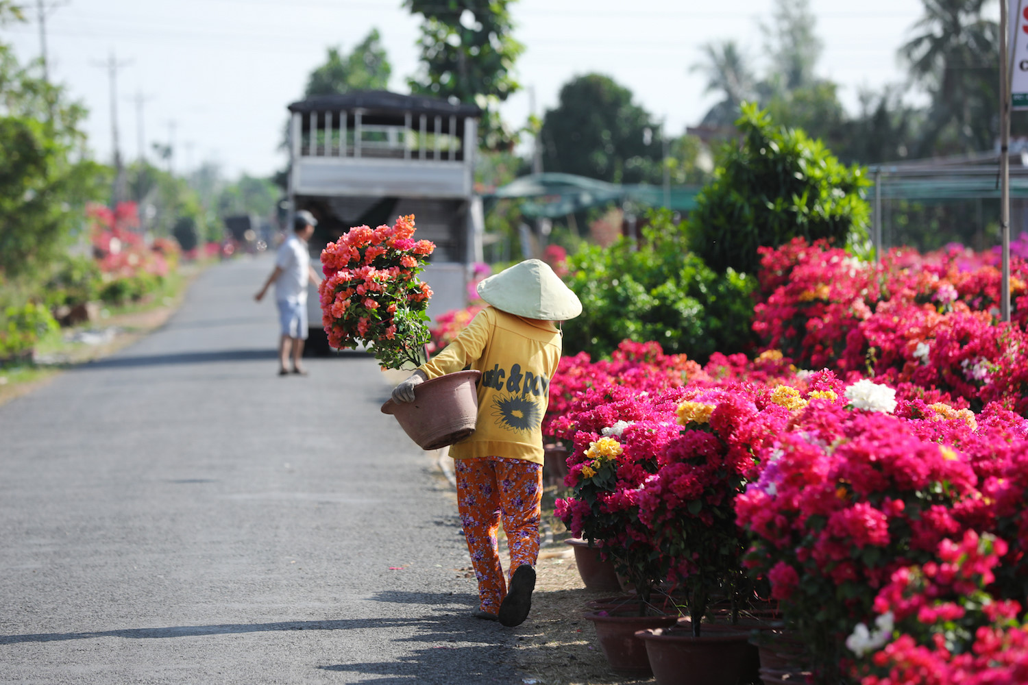 sac hoa giay phu do tuyen duong dai o ben tre