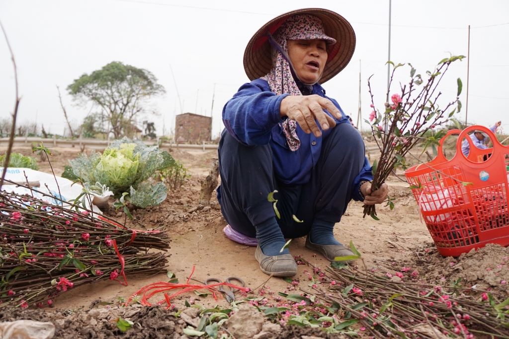 dan nhat tan hoi ha mot dao ban ram thang gieng