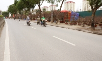 lo het cay choi tet nhieu vuon dao quat da duoc dat truoc mot nua