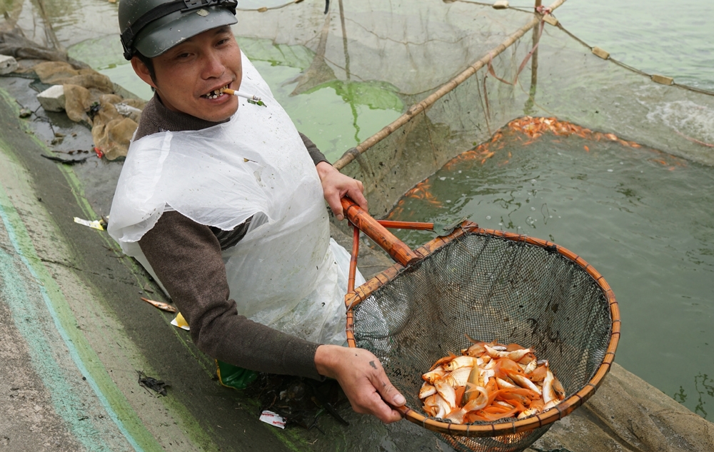 loi nuoc lanh bat ca chep do chuan bi cung tao quan