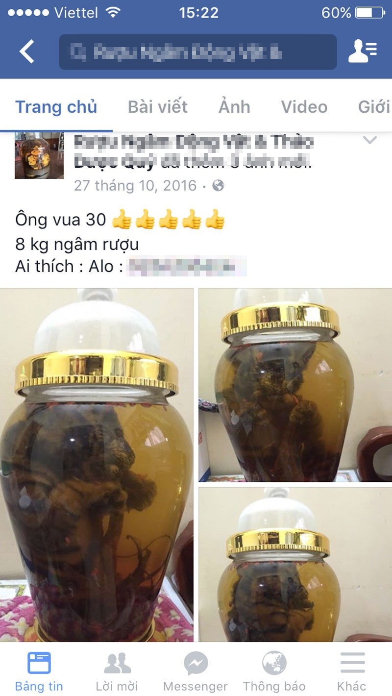 mua ong ba muoi that trong the gioi ao