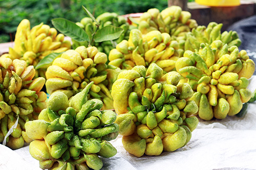 lang phat thu ha noi dat khach ngay giap tet