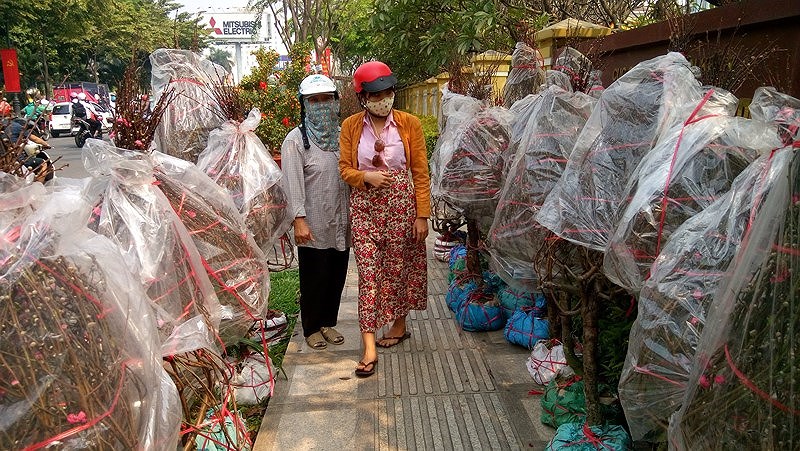 hoa tet ba mien thi nhau do sac dep o tphcm