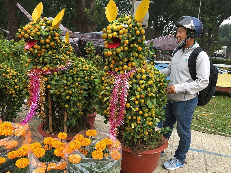 hoa tet ba mien thi nhau do sac dep o tphcm