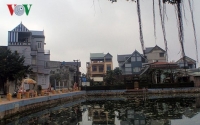 toa han quoc ra phan quyet giet cho de an thit la phi phap