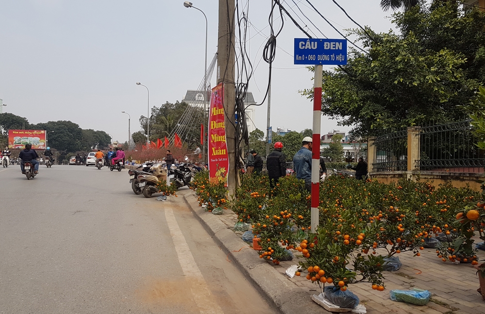 ha noi hang tet chiem het via he