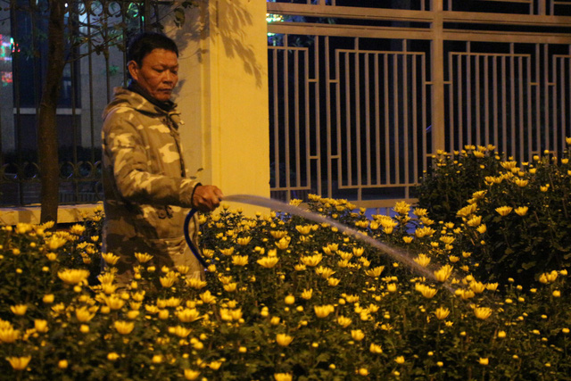 chuyen nhung nguoi dung leu ben duong cho tet
