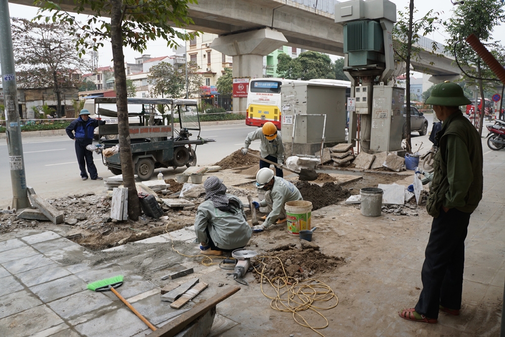 cac du an lat da tu nhien via he o ha noi sai pham the nao