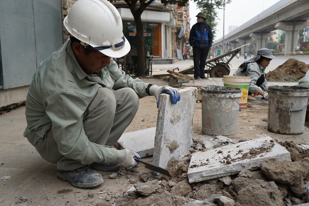 cac du an lat da tu nhien via he o ha noi sai pham the nao