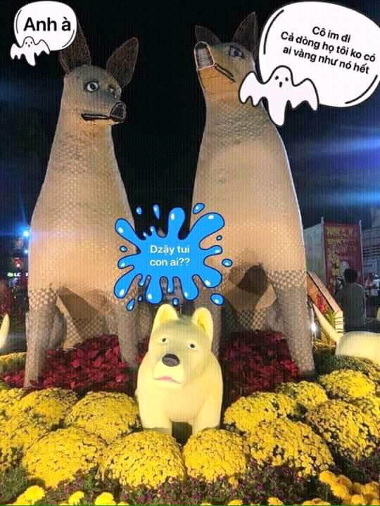 anh che ve nam mau tuat hai huoc cua dan mang