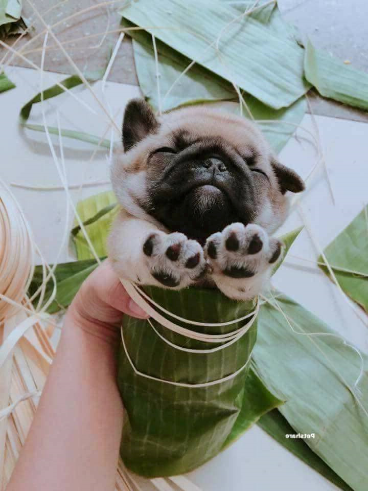 anh che ve nam mau tuat hai huoc cua dan mang