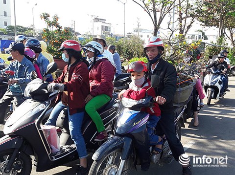 da nang chieu 30 tet cat trui ca tram cay mai chu khong ban re