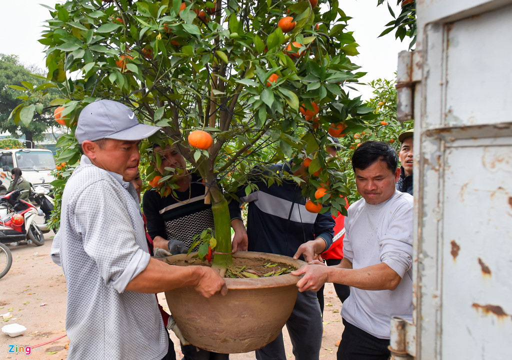 tieu thuong ha noi cung dap nat hoa dao de tranh bi ep gia