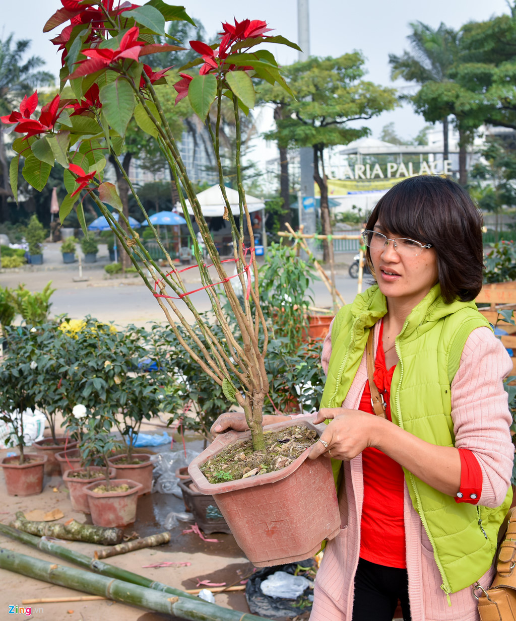 tieu thuong ha noi cung dap nat hoa dao de tranh bi ep gia