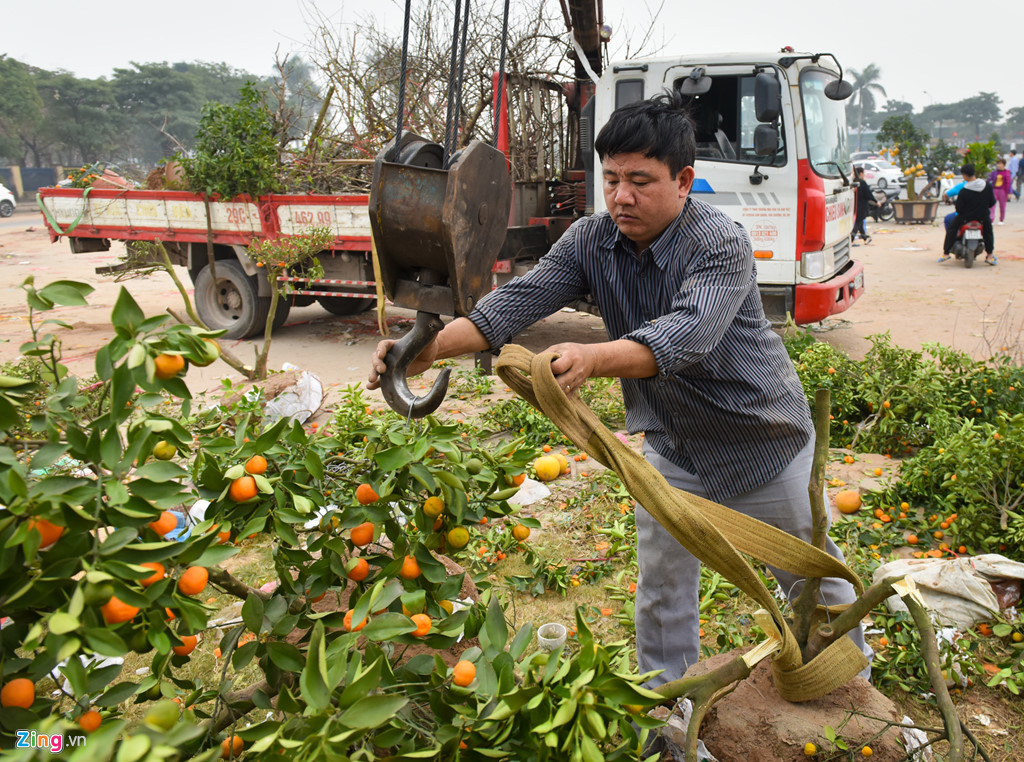 tieu thuong ha noi cung dap nat hoa dao de tranh bi ep gia